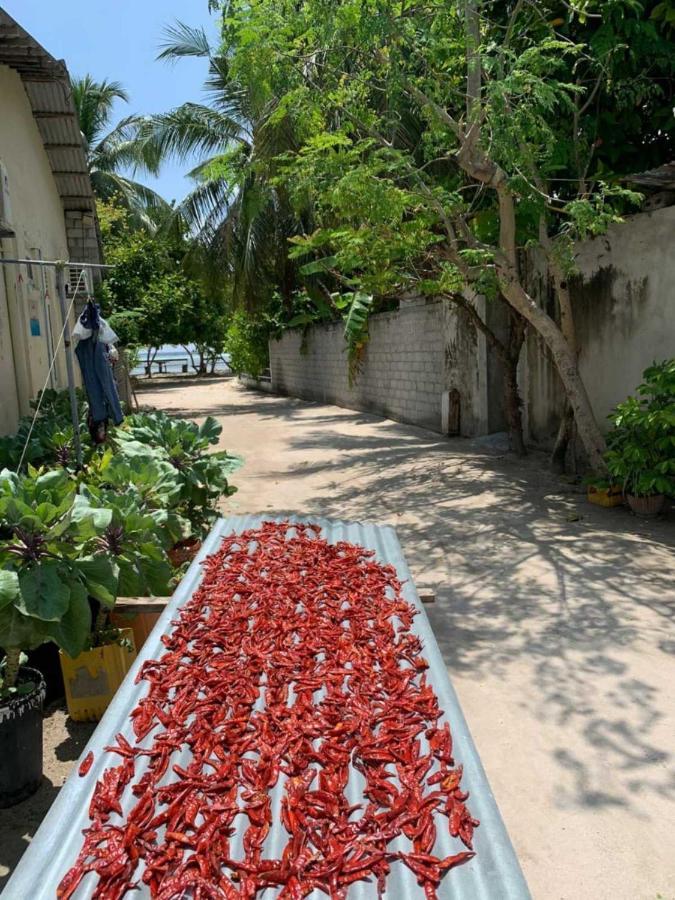 Hotel La Isla Tropica - Maldives Guraidhoo  Exterior foto