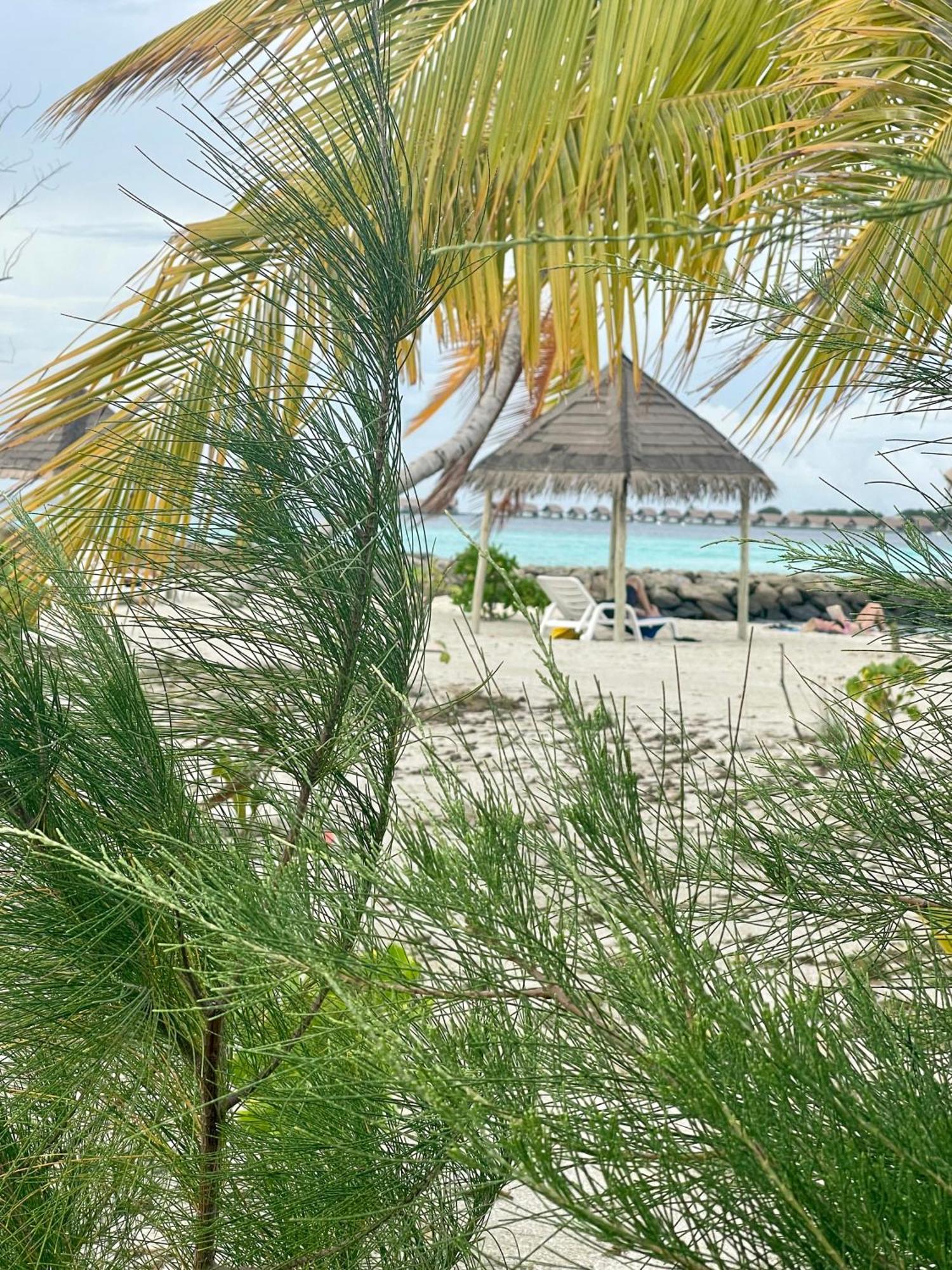 Hotel La Isla Tropica - Maldives Guraidhoo  Exterior foto