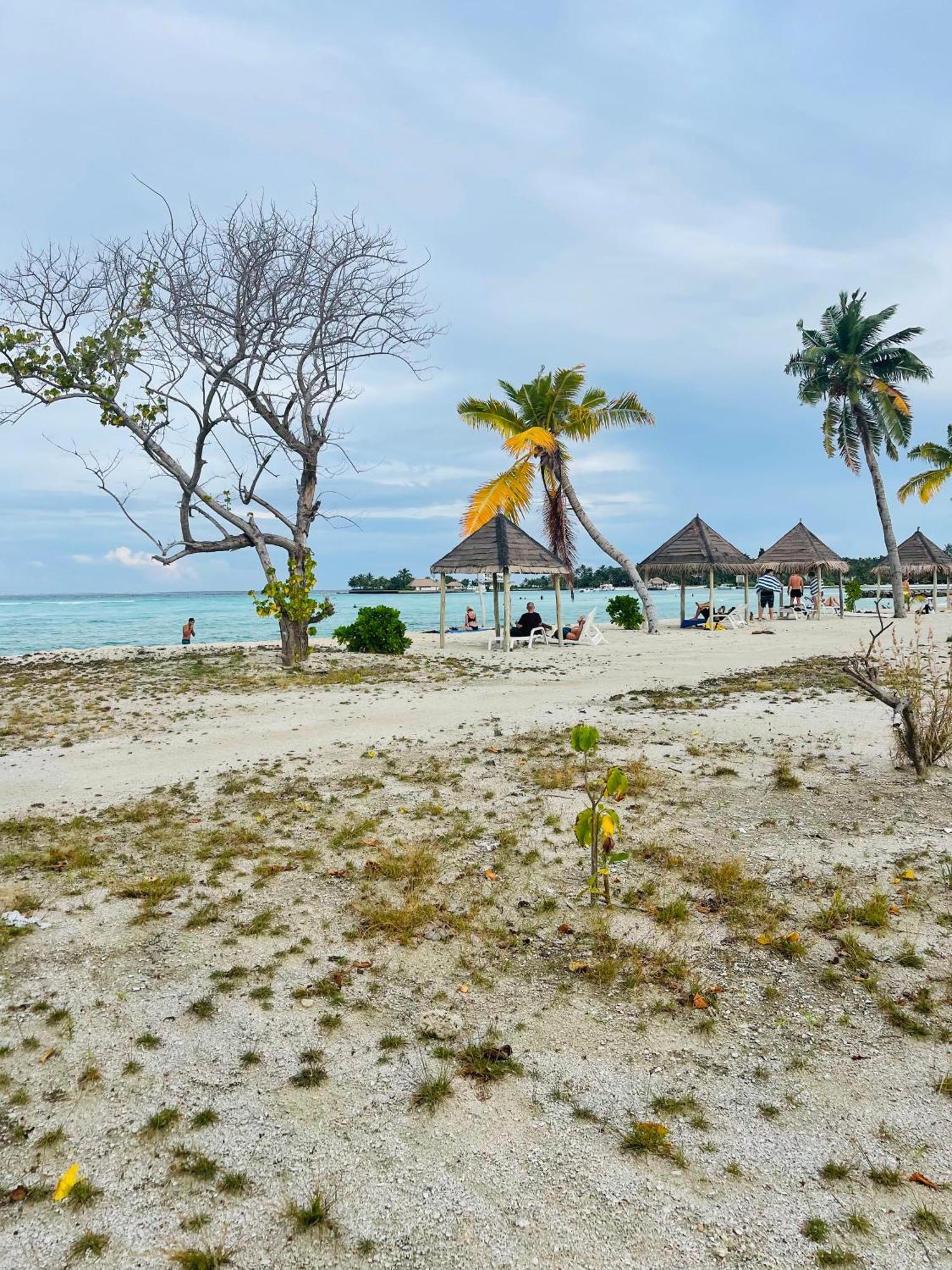 Hotel La Isla Tropica - Maldives Guraidhoo  Exterior foto